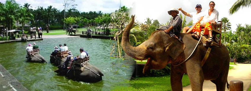 Bakas Elephant Ride Tour