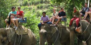 Bakas Elephant Ride