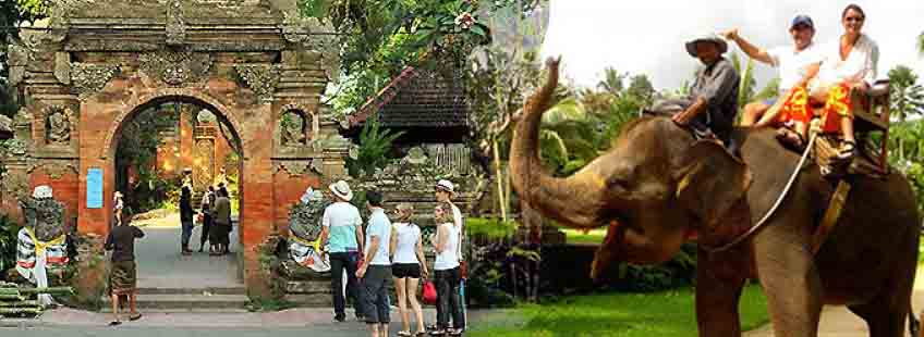 bali elephant ride and ubud tour