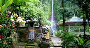 Bali North Tour