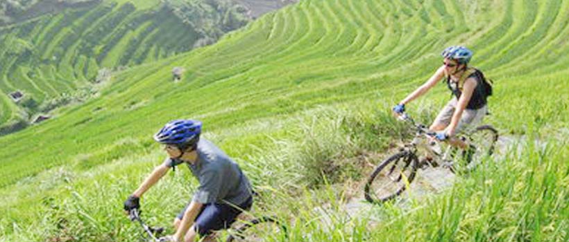 Jatiluwih Rice Paddy Cycling Tour