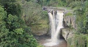 Ubud Waterfall