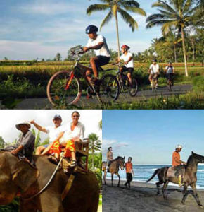 Bali Cycling  Elephant And Horse Riding Tour