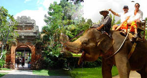 Bali Elephat Ride Ubud Tour