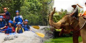 Bali Rafting And Elephant Ride Tour