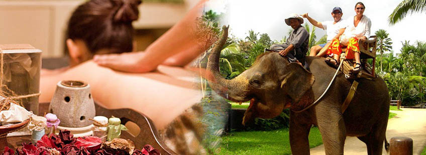 Bali elephan ride spa