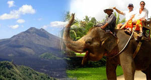bali elephant ride kintamani tour