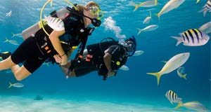bali diving tour