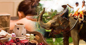 Bali elephant ride spa tour